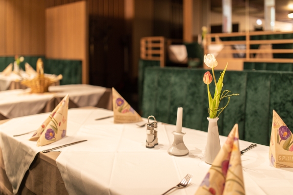 Hotel Thaya